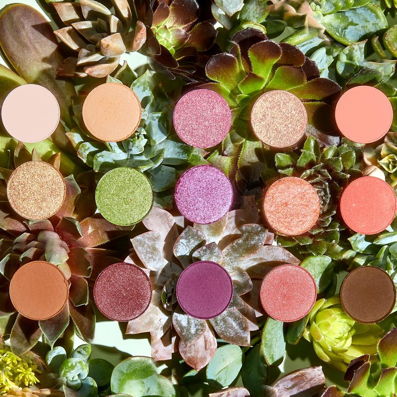 GARDEN VARIETY PALETTE